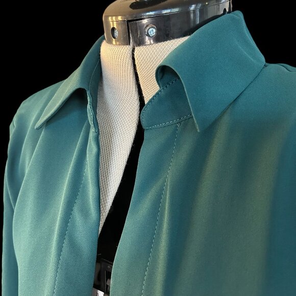 Deep vneck shirt dress (NWT) - Picture 10 of 11